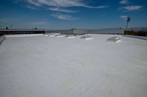 Best Roof Leak Repair  in Pleasant Hill, TX